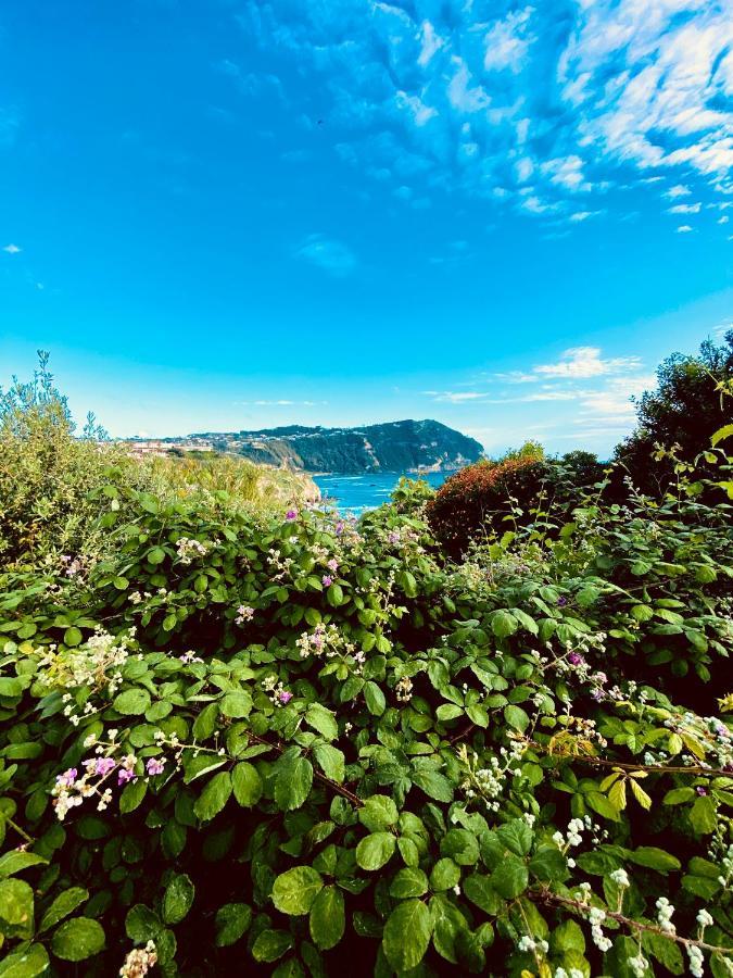 La Fortezza Forio di Ischia Kültér fotó